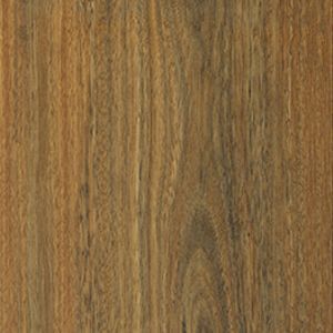 A close up of a piece of wood showing the grain and texture.