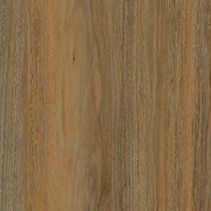 A close up of a piece of wood showing the grain and texture.