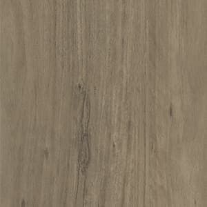 A close up of a piece of wood showing the grain and texture.