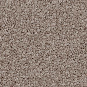 A close up of a beige carpet texture.