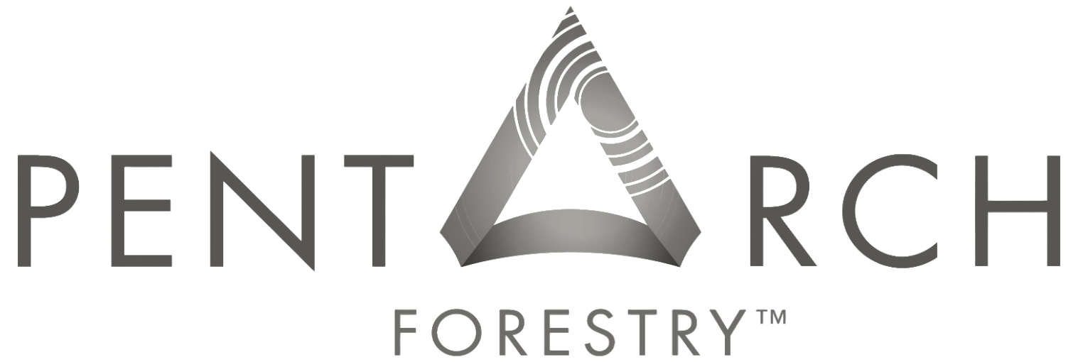 A gray logo for national flooring distributors on a white background