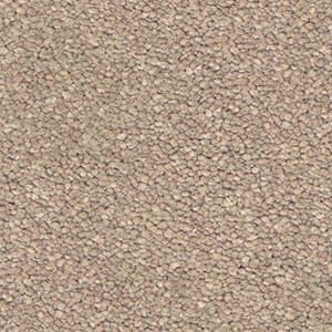 A close up of a beige carpet texture.