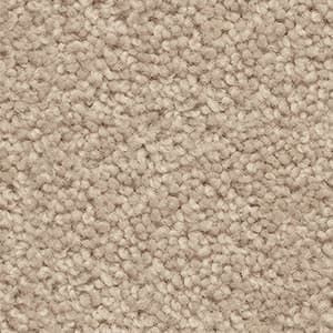 A close up of a beige carpet texture.