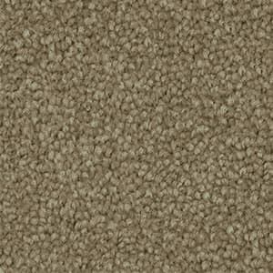 A close up of a beige carpet texture.