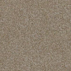A close up of a beige carpet texture.
