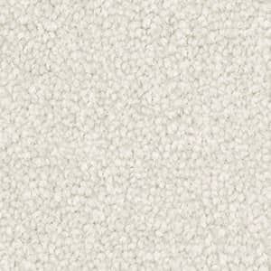 A close up of a white carpet texture.