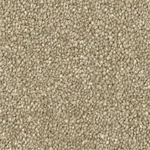 A close up of a beige carpet texture.