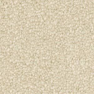 A close up of a white carpet texture.