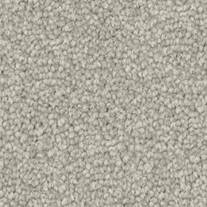 A close up of a white carpet texture.