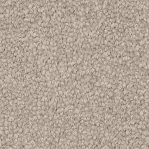 A close up of a beige carpet texture.