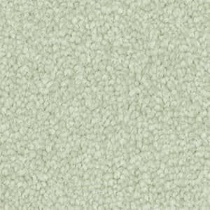 A close up of a white carpet texture.