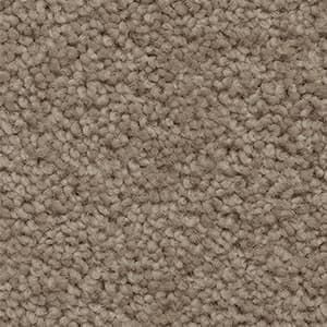 A close up of a beige carpet texture.