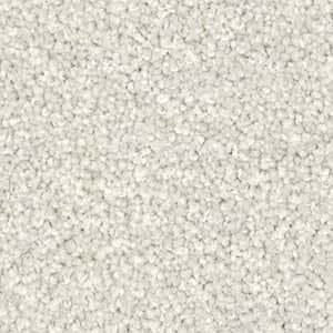  solution dyed nylon carpet lieutenant