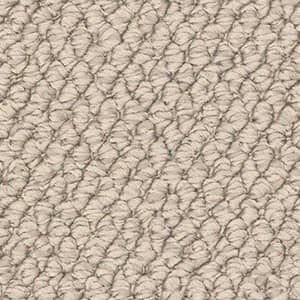 A close up of a beige carpet texture.