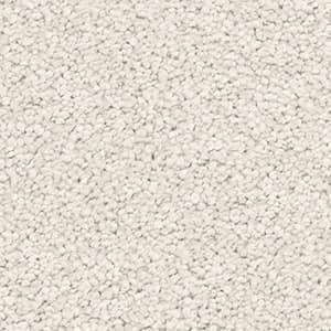 solution dyed nylon carpet oatmeal
