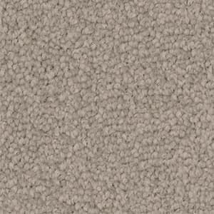 A close up of a beige carpet texture.