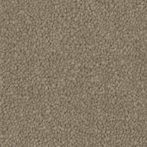 A close up of a beige carpet texture.