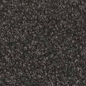 solution dyed nylon carpet truffle