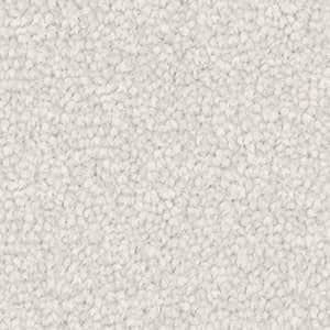 A close up of a white carpet texture.