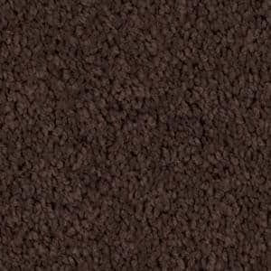 Close-up of brown, textured carpet.