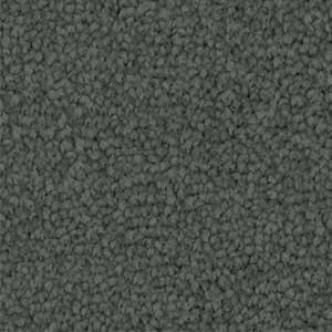 A close up of a gray carpet texture.