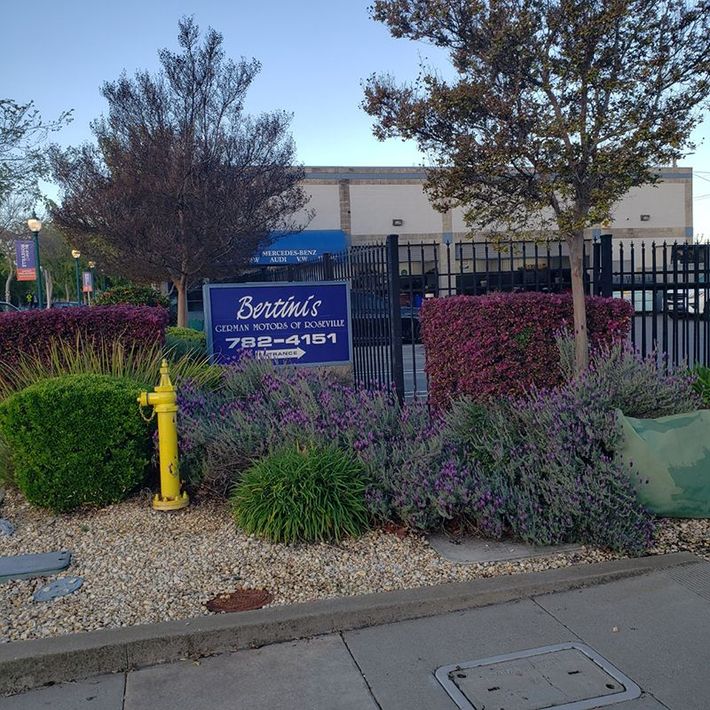 Bertinis German Motors Repair Shop Entrance | Bertinis German Motors