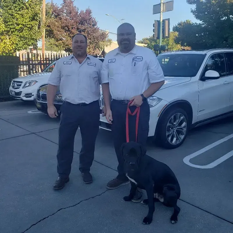 Team Image | Bertinis German Motors