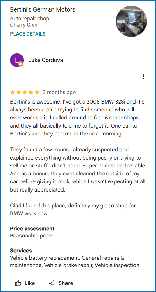 Review of Bertini's German Motors By Luke Cordova | Bertinis German Motors