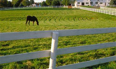 Livestock Fence - A & C Custom fences and contractor work in Craryville, NY