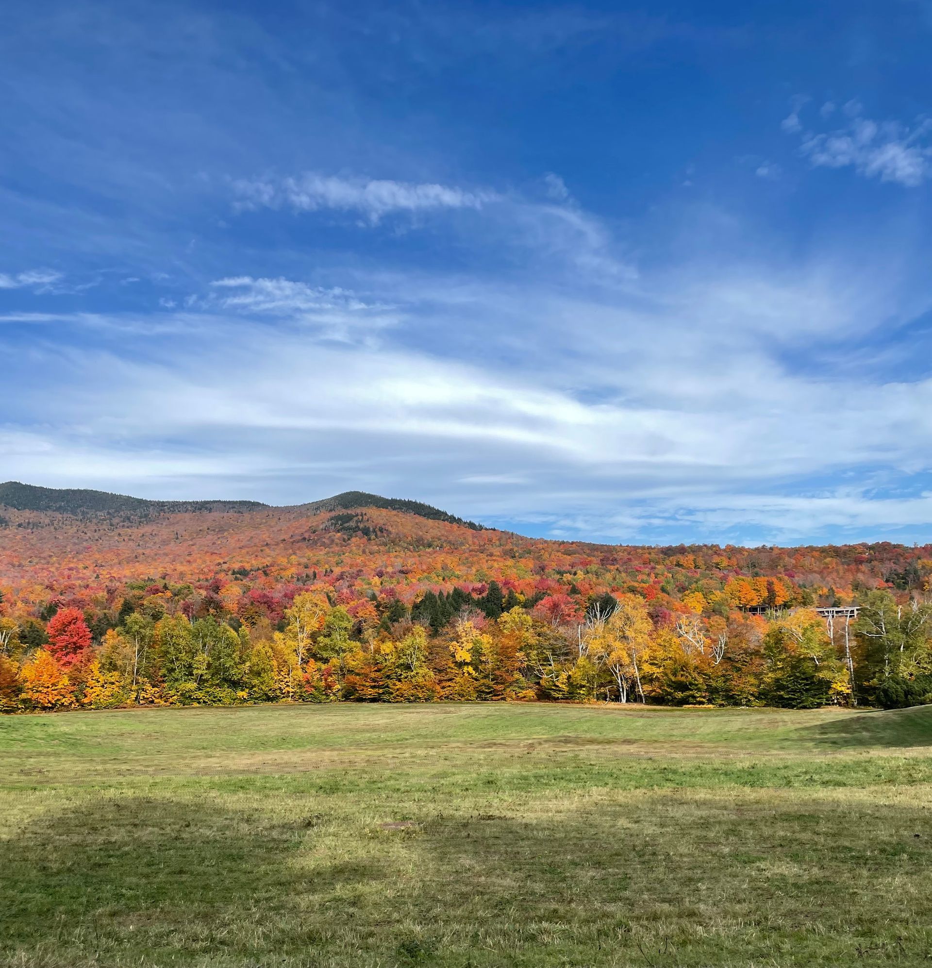 Photo of the fall foliage in Vermont, seen showing trees extending to the horizon