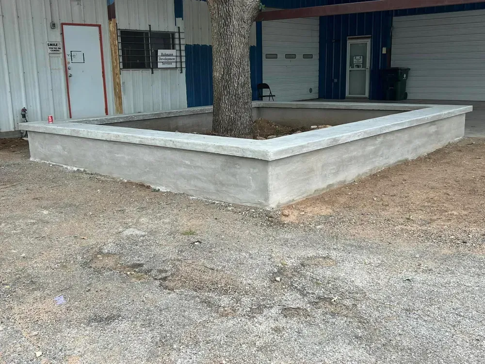 A concrete wall with a tree in the middle of it