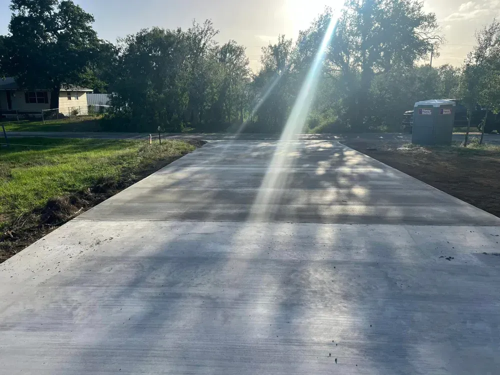 The sun is shining through the trees on a concrete driveway.