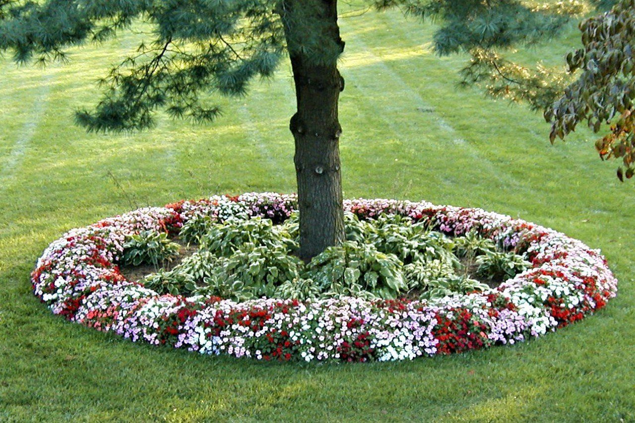 Lawn and Landscape Services - Lexington, KY - Ultimate Lawn and Landscape