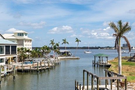 Waterfront homes with docks and boats on a sunny day. Palm trees line the shore.