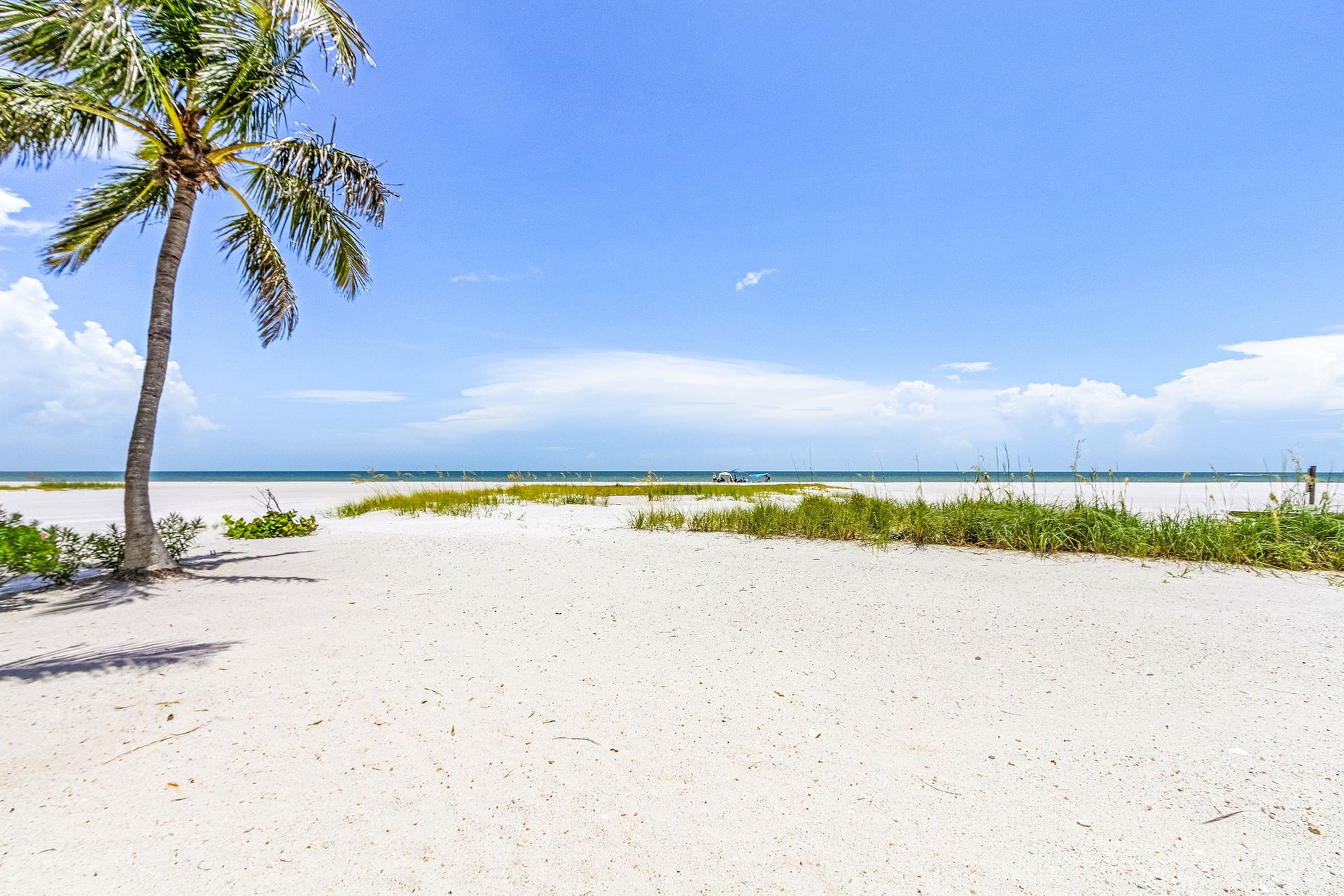 Sunny tropical beach with white sand, palm trees, and blue ocean under a clear sky