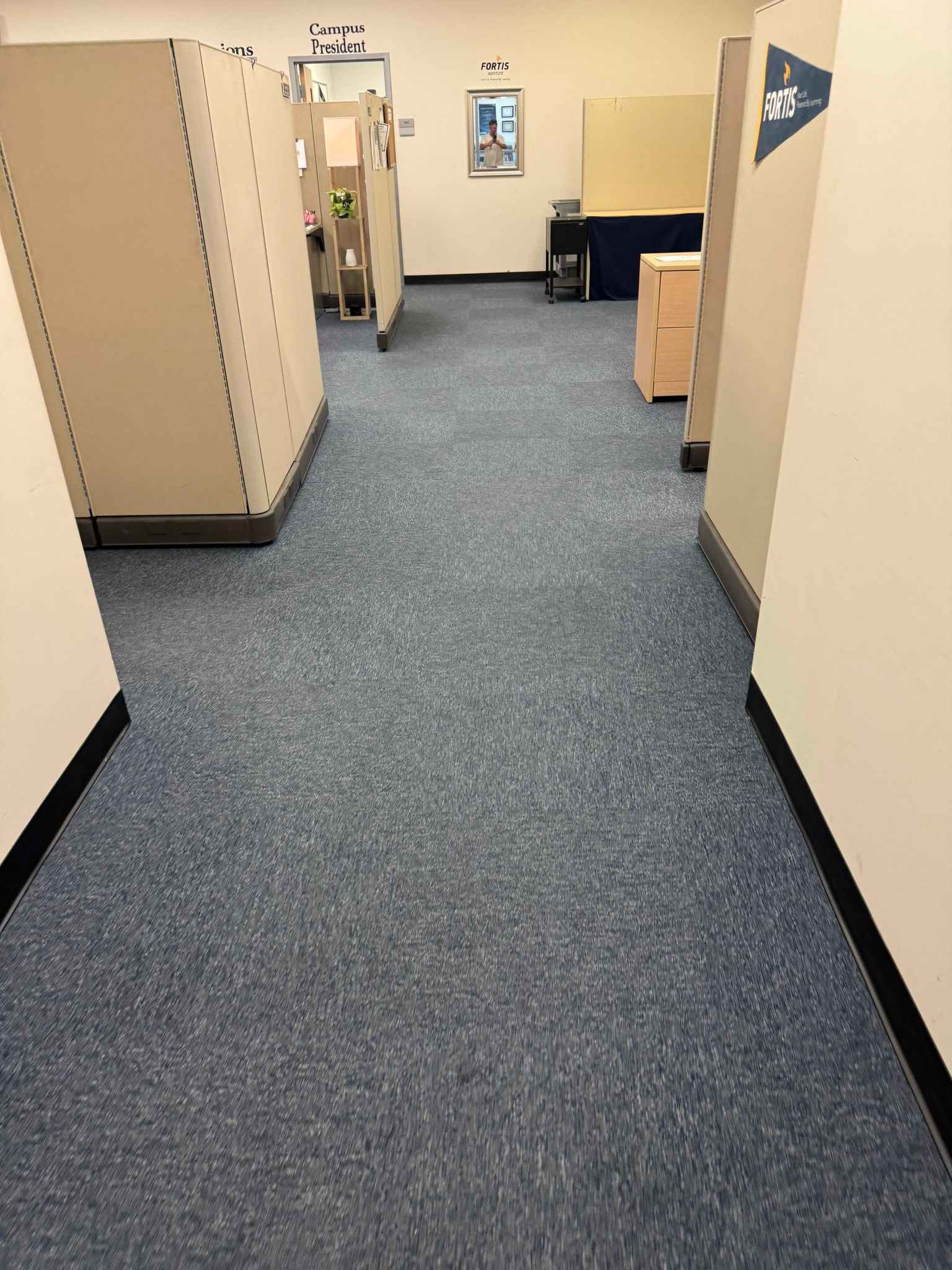 A hallway with a blue carpet and white walls