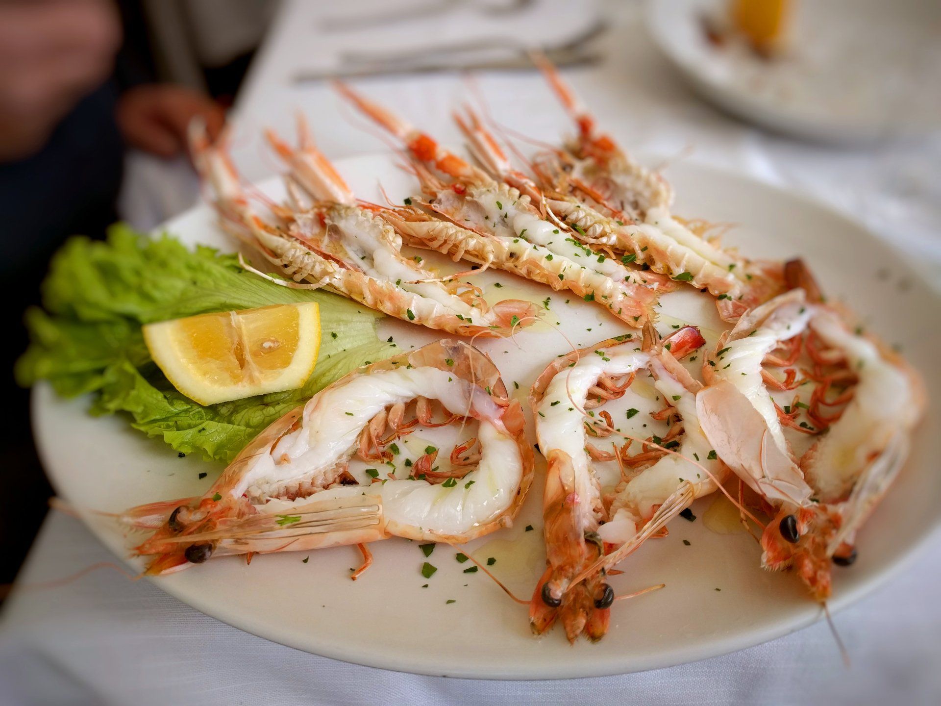 Frittura di calamari