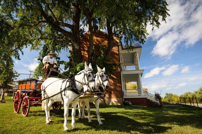 Horse-drawn carriage with two white horses in front of a brick building. Driver on carriage. Sunny day.