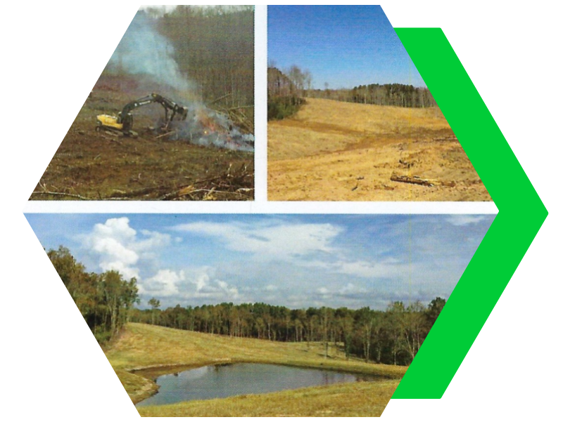 Three landscape photos in a hexagon collage with a green arrow on the right