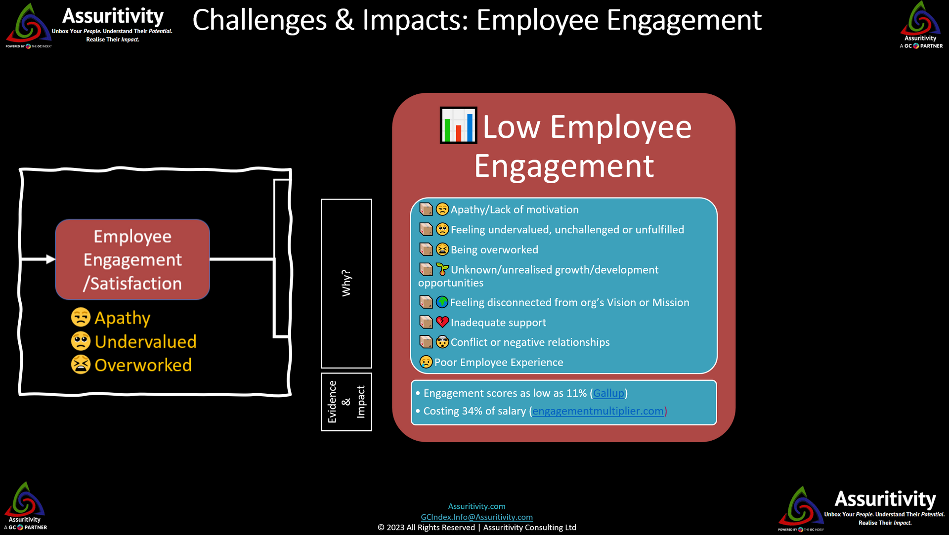 Challenges & Impacts: Employee Engagement