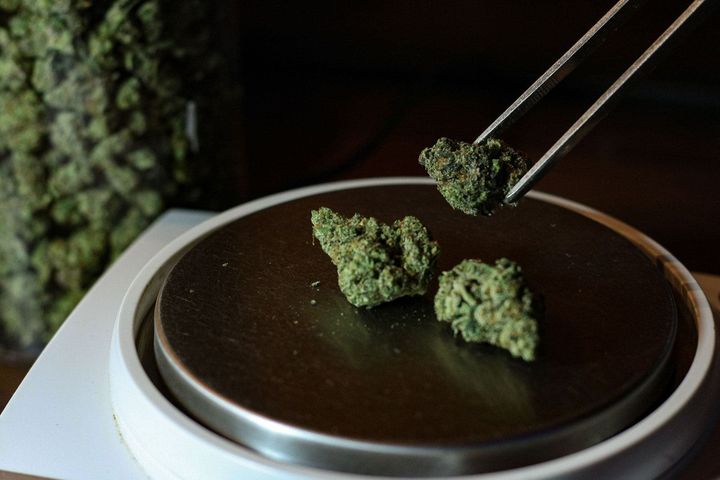 Tweezers hold a green cannabis bud over a digital scale with two other buds on the circular metal platform.