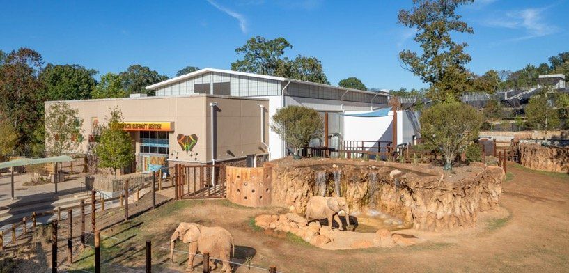 Zoo Atlanta Elephant Barn
