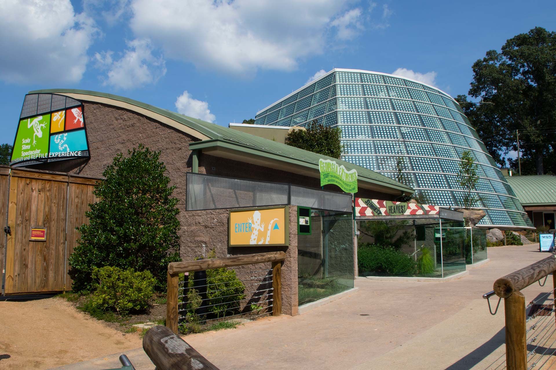 Zoo Atlanta Reptile