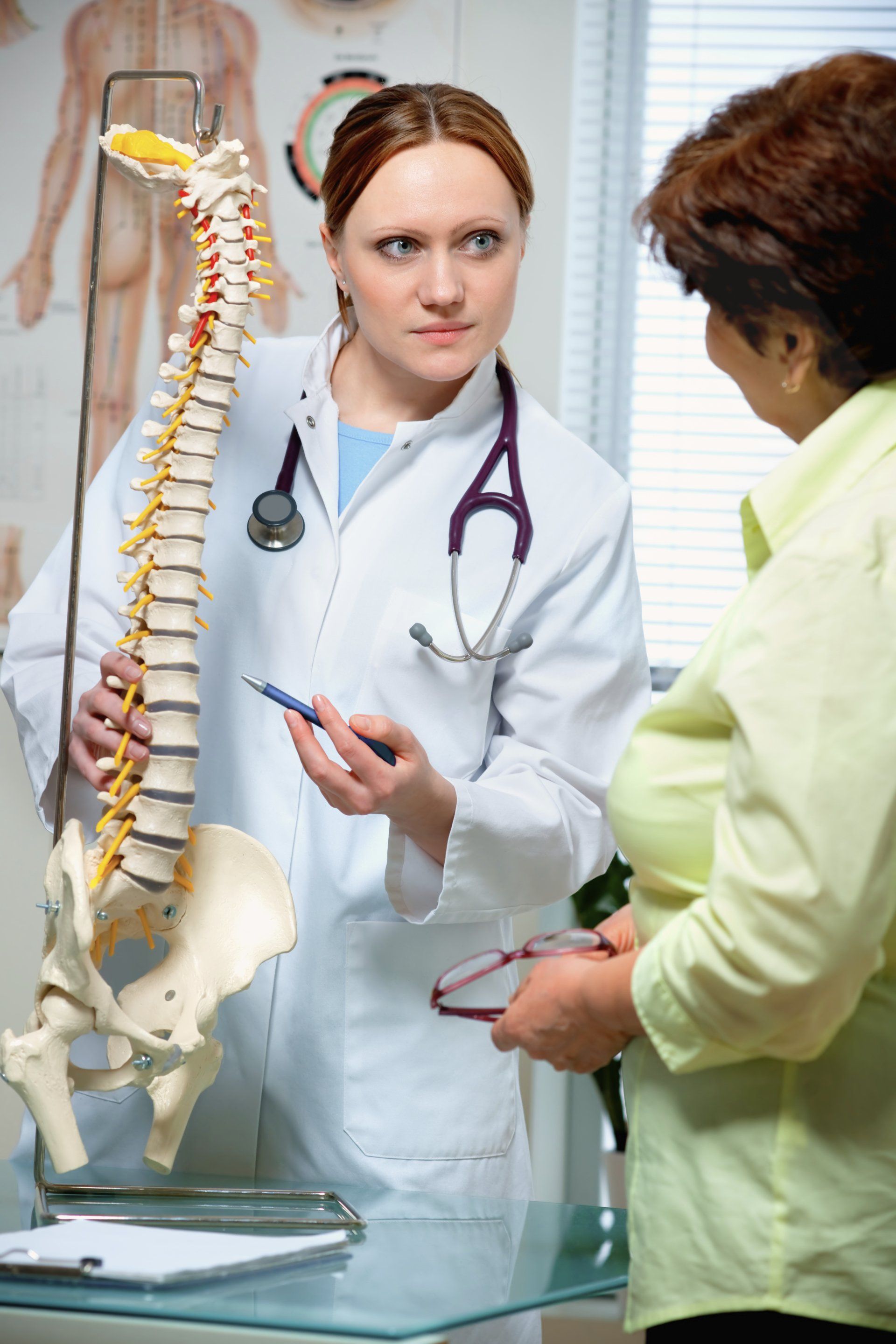 Chiropractor Explaining Using Spinal Skeleton — Shreveport, LA — ChiroCare