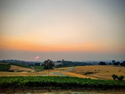 A sunset over a vineyard with a road going through it