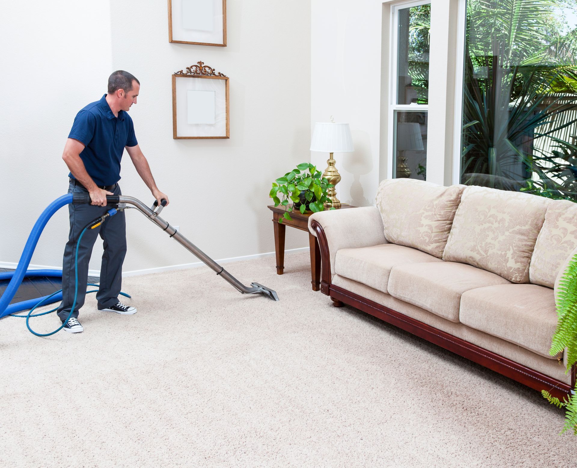 Carpet Cleaning — Camarillo, CA — The Premier Cleaning Service Inc