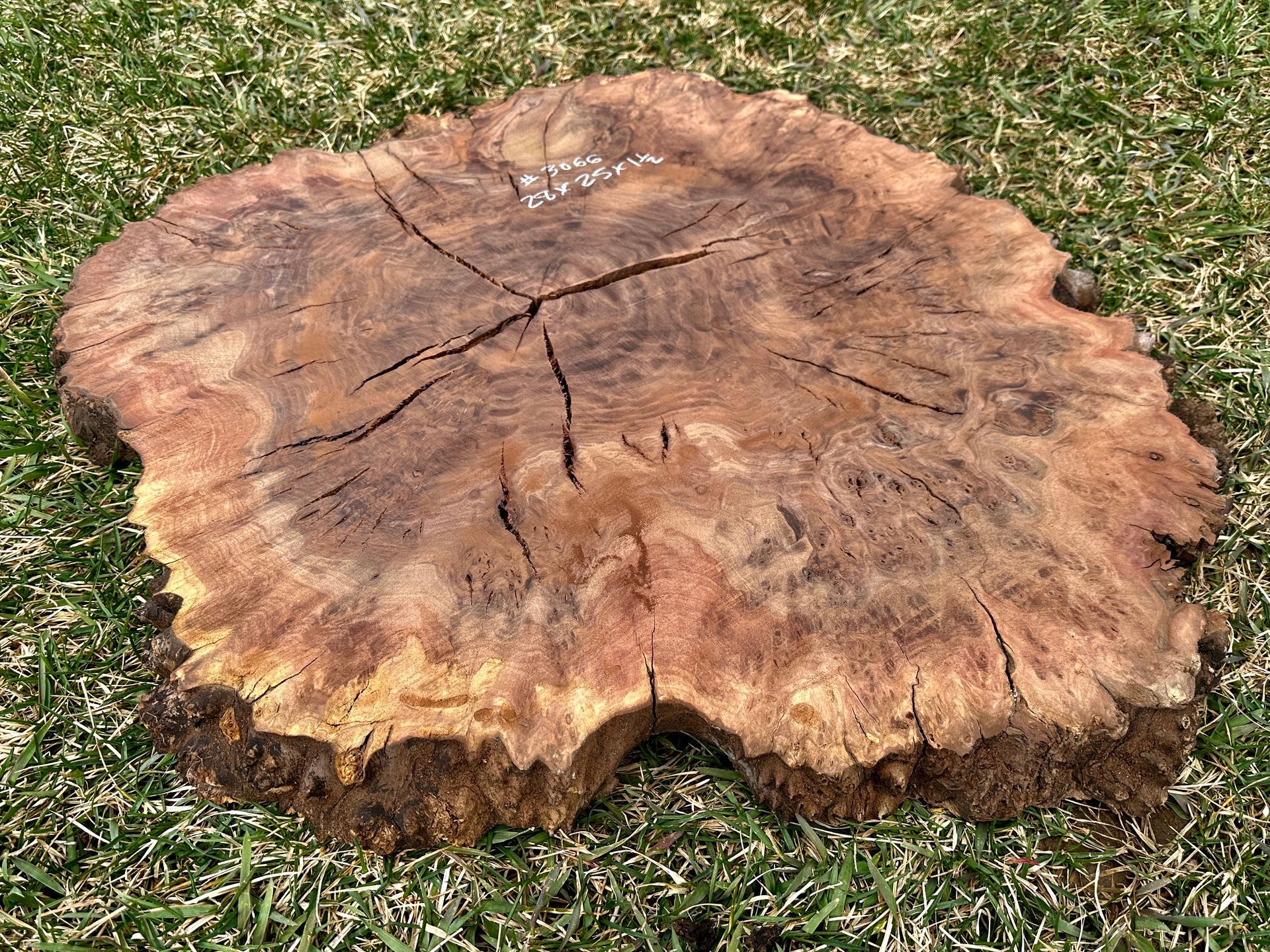 Claro Walnut Burl