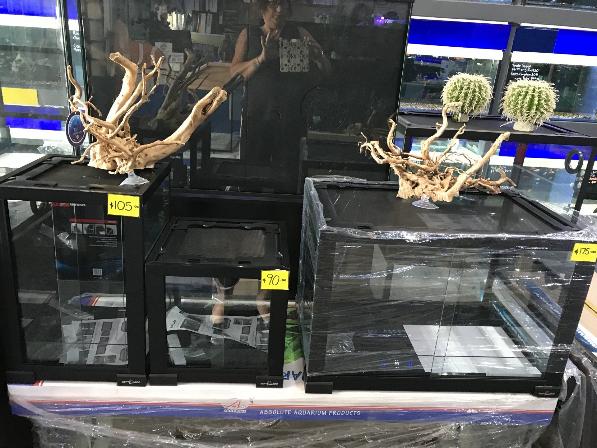 Aquarium Supplies, Fish, Coral, Tanks and Pumps | Warners Bay