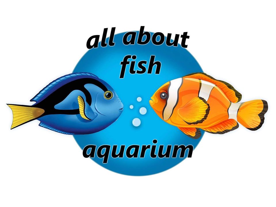 all about fish aquarium logo