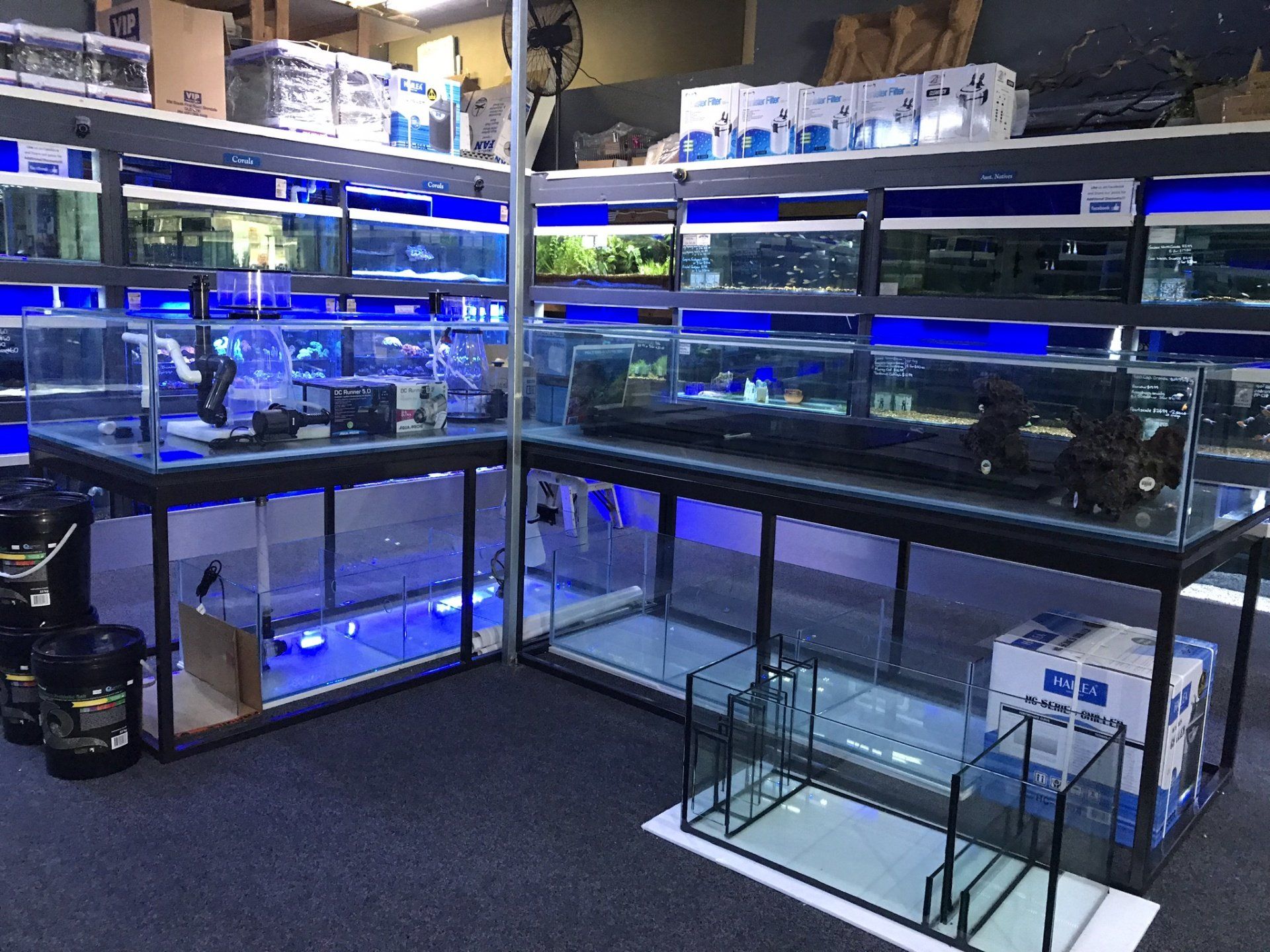 Aquarium Supplies, Fish, Coral, Tanks and Pumps | Warners Bay